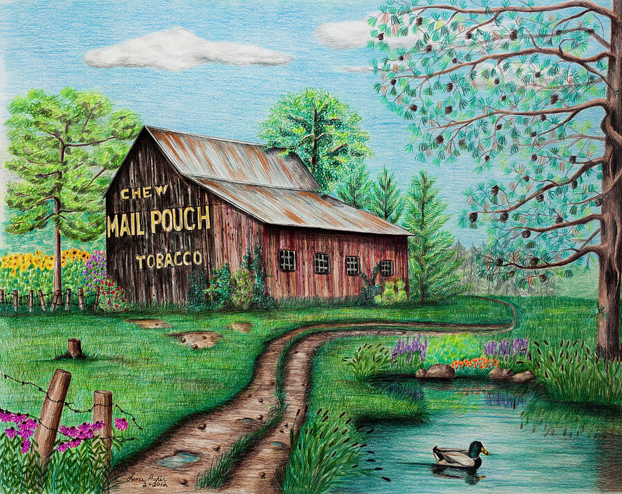 Duck Drawing - Mail Pouch Tobacco Barn by Lena Auxier