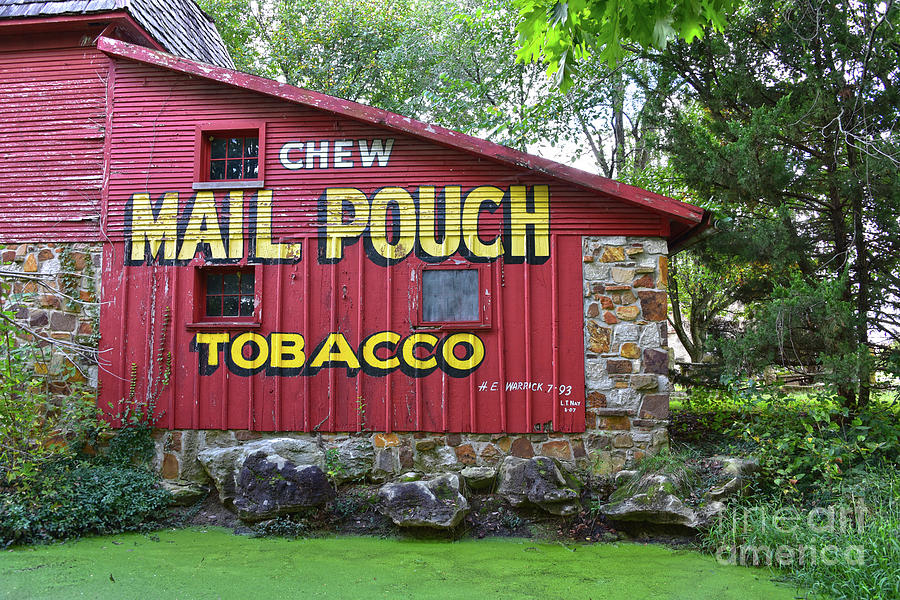 Mail Pouch Tobacco Barn Sign Photograph by Catherine Sherman - Fine Art ...