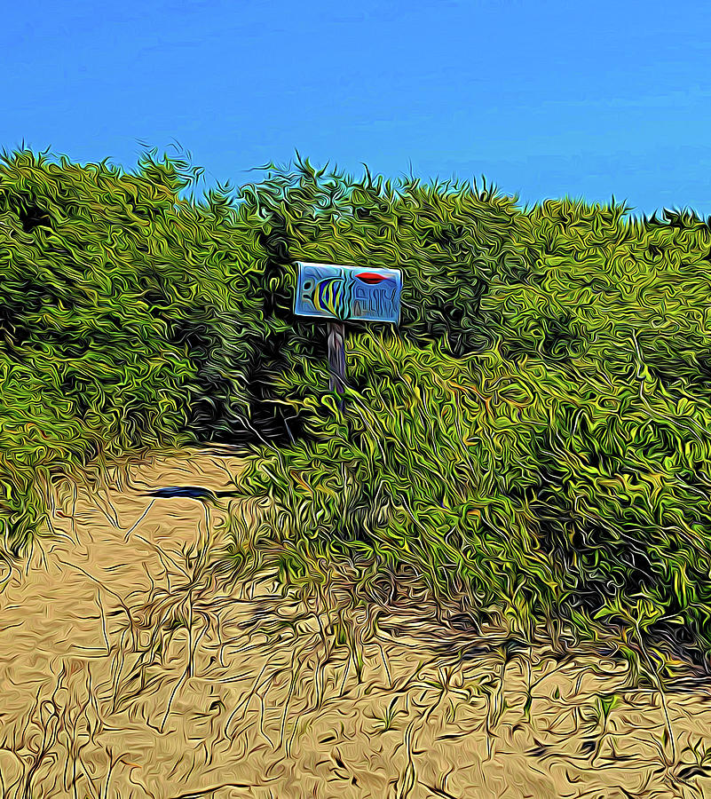 Mailbox by the Sea Photograph by Roberta Byram