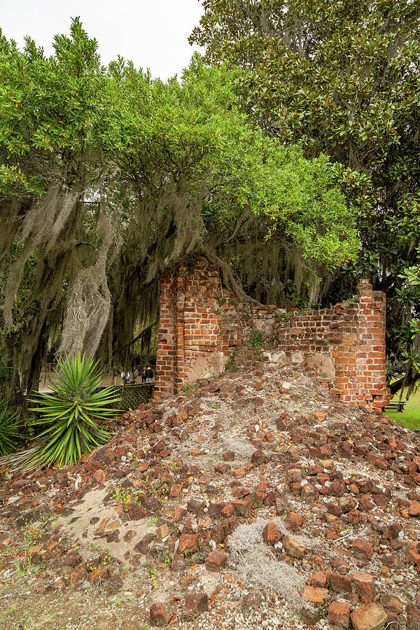 Main House Remains at Middleton Place Plantation Photograph by Cindy Robinson