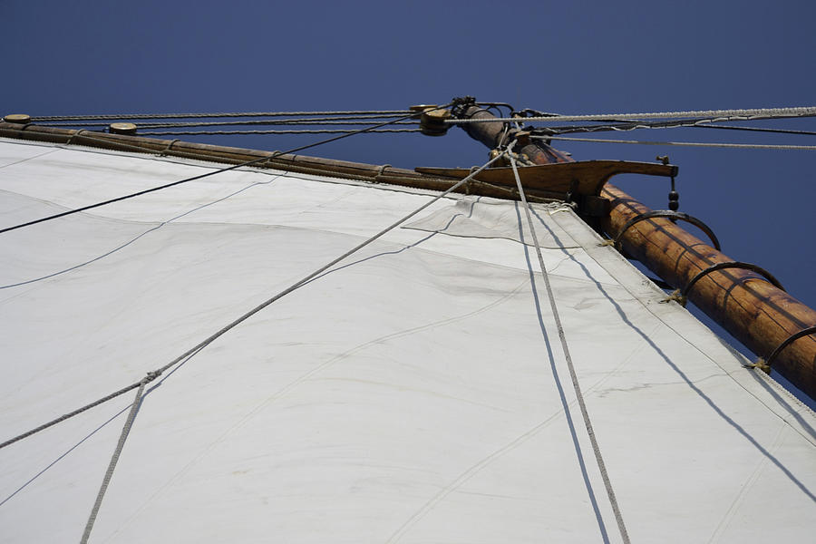 Main Sail Up Photograph by Nadalyn Larsen