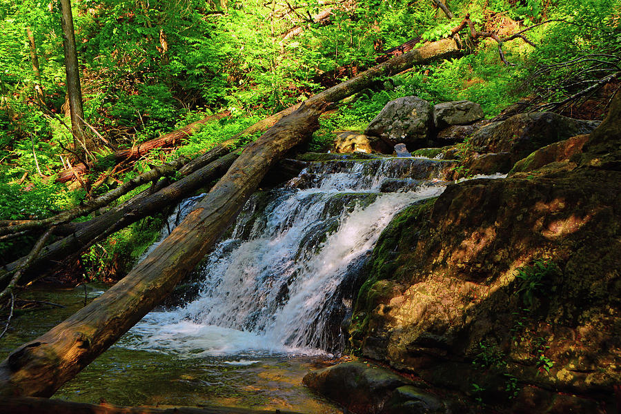 Main Waterfall of Dunnfield Creek Spring Green Photograph by Raymond Salani III