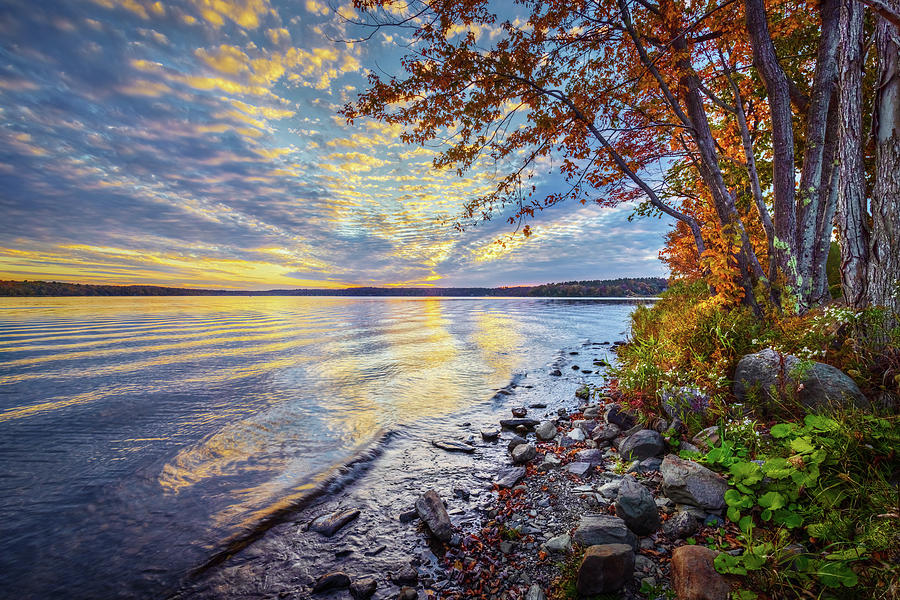 Maine Autumn M1A3317 Photograph by Greg Hartford
