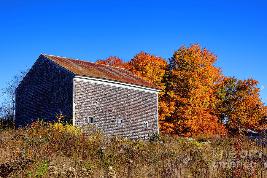 Fall Photograph - Maine Barn in Fall  by Olivier Le Queinec