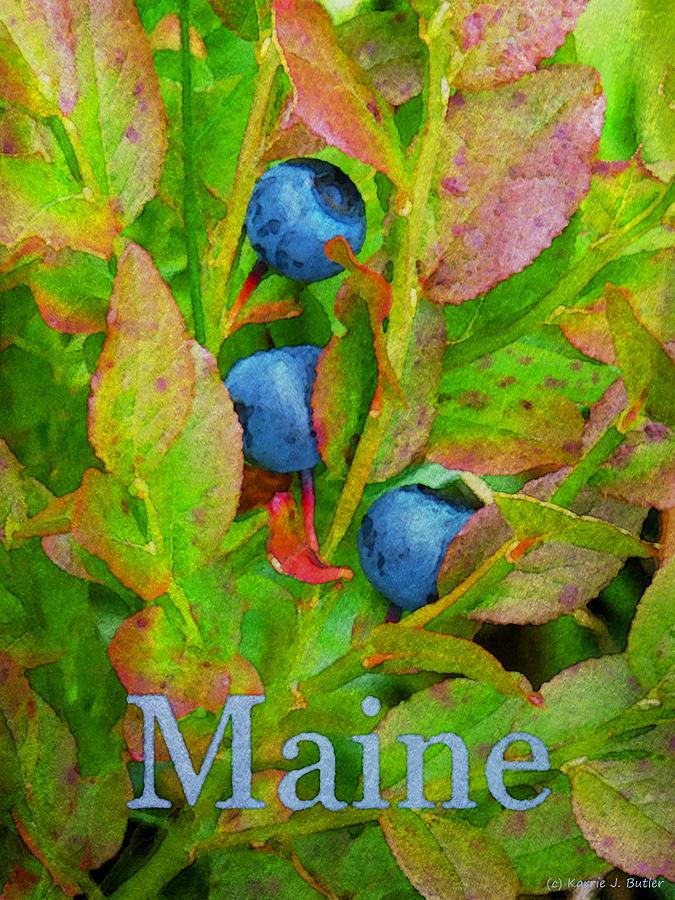 Maine Blueberries Watercolor Print Painting by Karrie J Butler