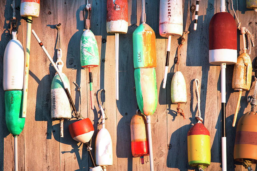 Maine Buoys at Sunrise Photograph by Eric Gendron