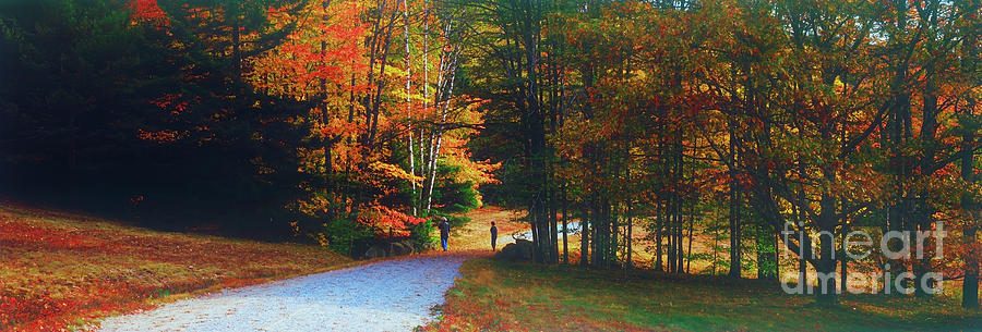 Maine carriage roads, couple fall  Photograph by Tom Jelen