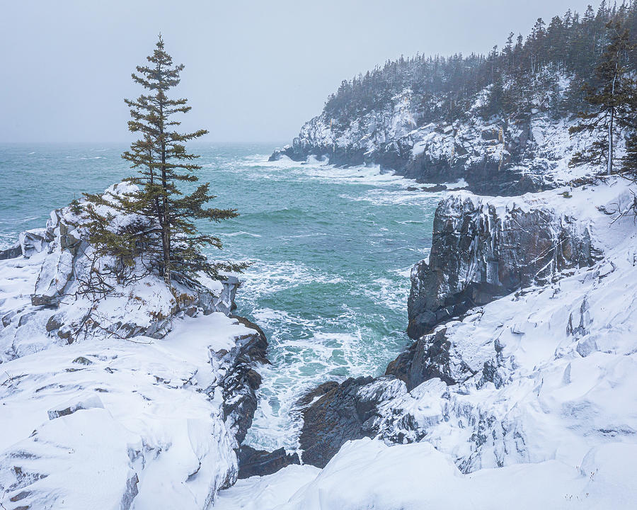 Landscape Photograph - Maine Coast Winter by Colin Chase