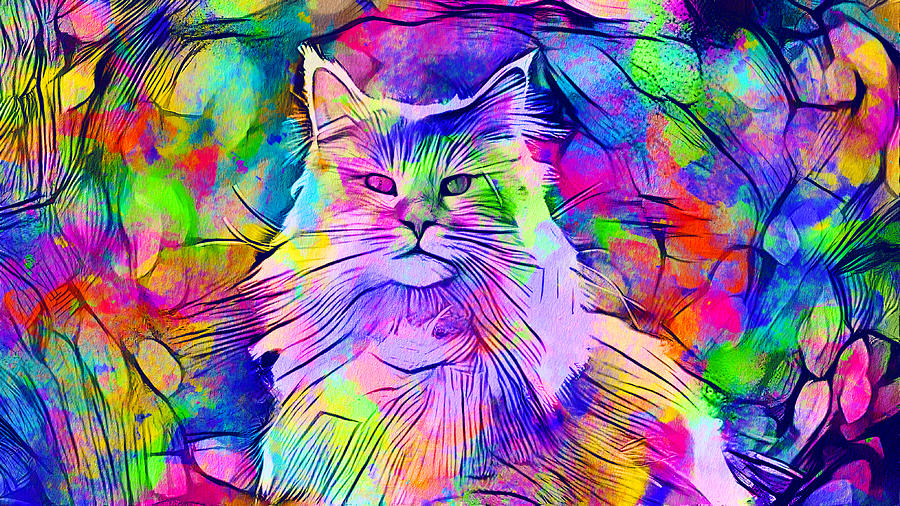 Maine Coon cat looking at camera - colorful lines digital painting Digital Art by Nicko Prints