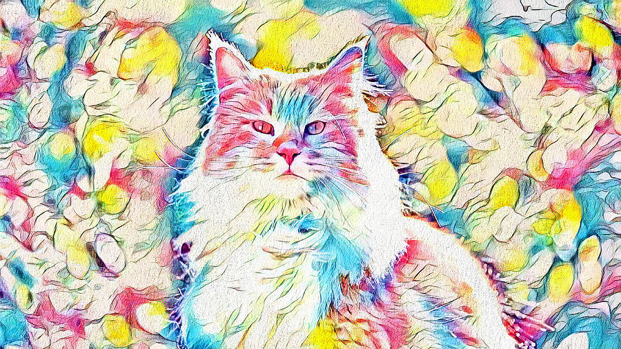 Maine Coon cat looking at camera - warm pastel colors Digital Art by Nicko Prints