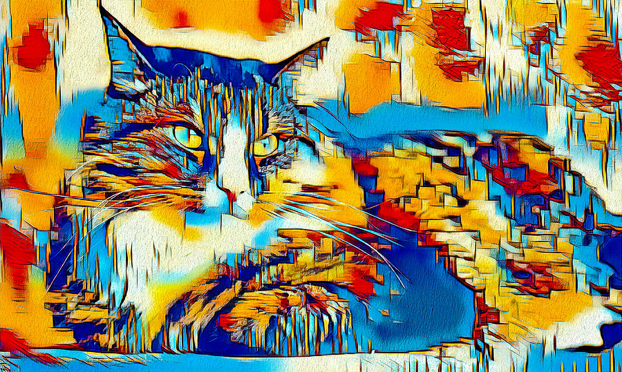 Maine Coon cat lying down - colorful rectangles abstract art Digital Art by Nicko Prints