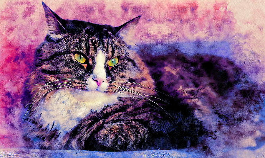 Maine Coon cat lying down - pen and watercolor Digital Art by Nicko Prints