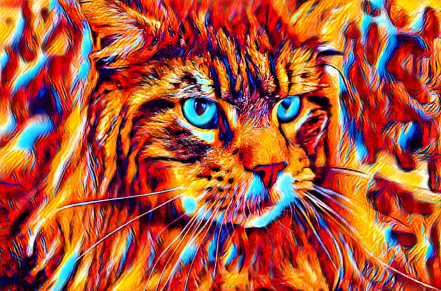 Maine Coon cat watching something - colorful dark orange, red and cyan portrait Digital Art by Nicko Prints