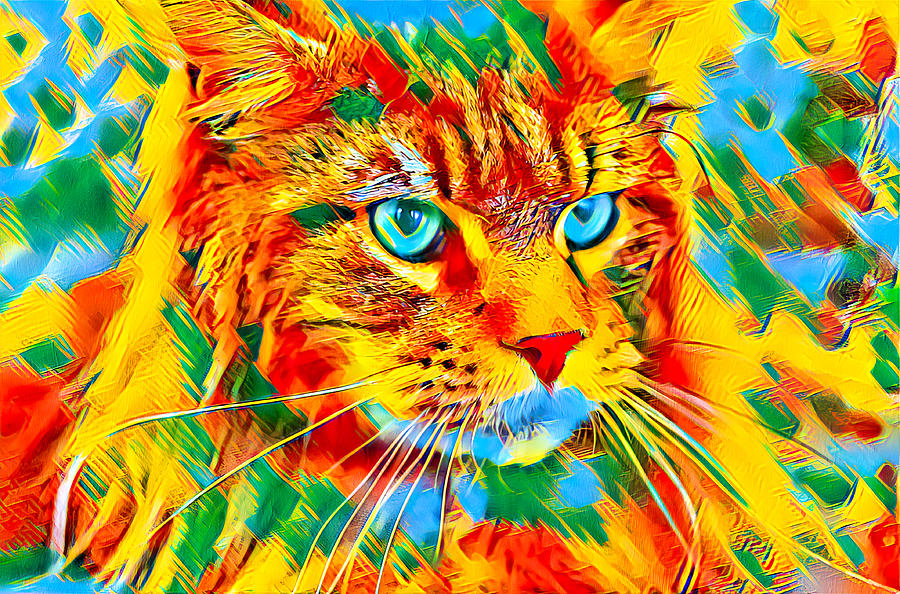 Maine Coon cat watching something - portrait in cyan, green and orange Digital Art by Nicko Prints