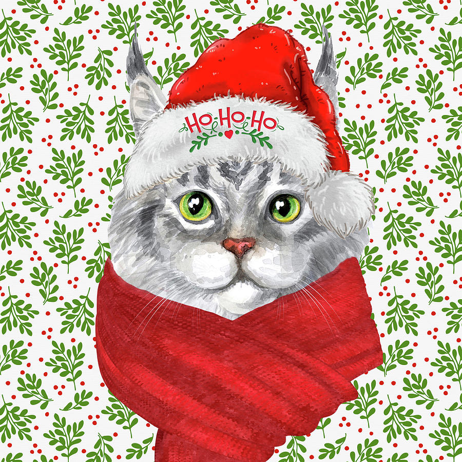 Maine Coon Christmas Cat Digital Art by Doreen Erhardt