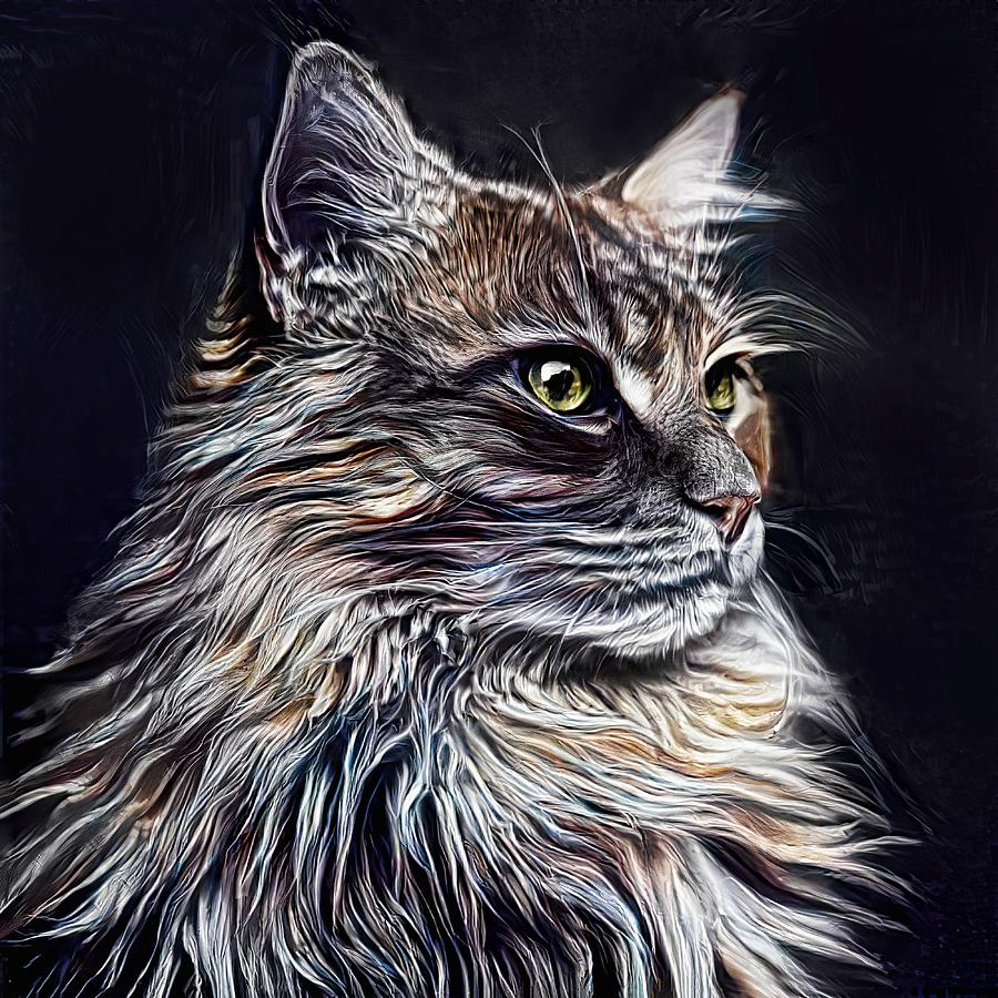 Maine Coon Portrait Photograph by HH Photography of Florida