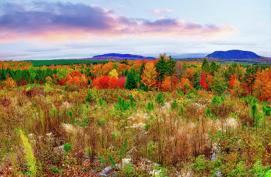 Maine Fall Photo Photograph by Robert Libby