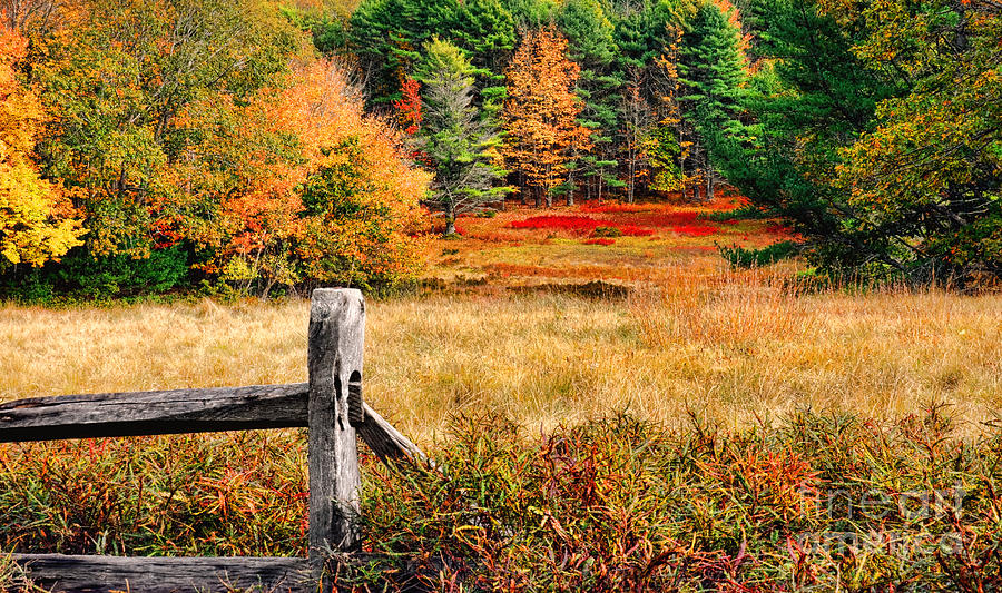 Maine Fall Scene Photograph by Olivier Le Queinec