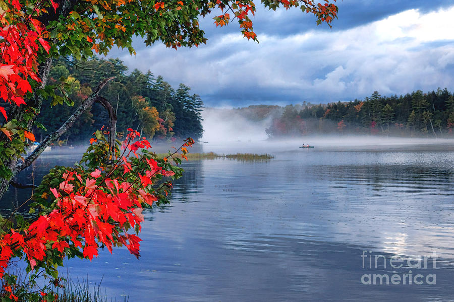 Maine Lake Scene Photograph by Olivier Le Queinec