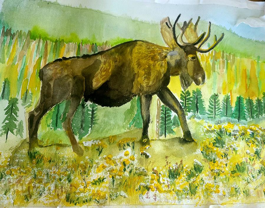 Maine moose Painting by Pam griffin Fine Art America