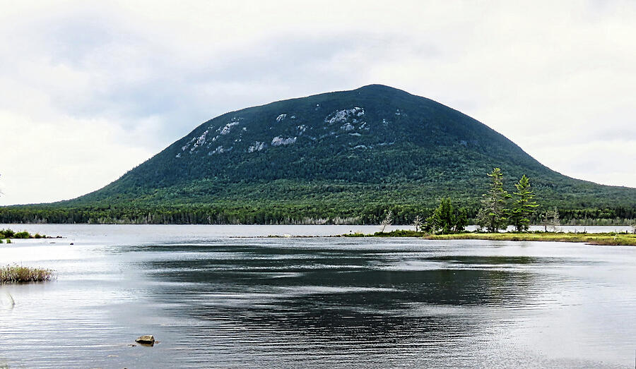 New England Photograph - North Maine Woods Panorama by Scott Loring Davis