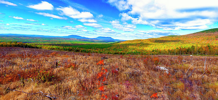 Maine Panorama Photograph by Robert Libby