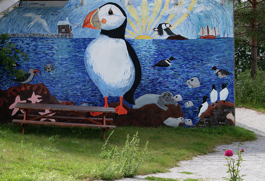 Maine Puffin Mural Photograph by Marcy Wielfaert