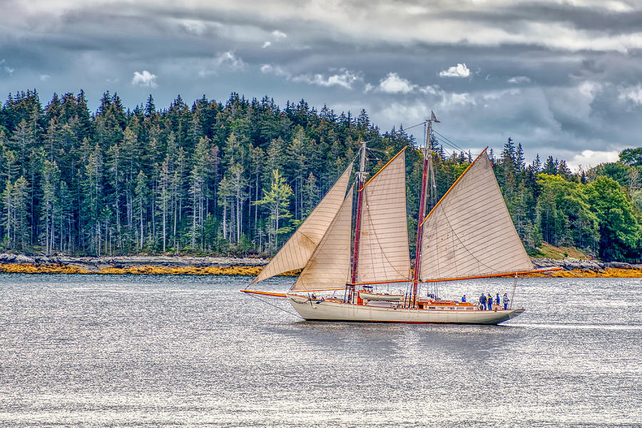 Maine Sailing Photograph by Paul Freidlund