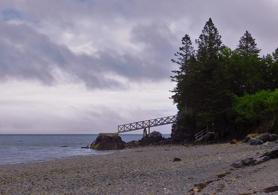 - Maine Shoreline   Photograph by THERESA Nye