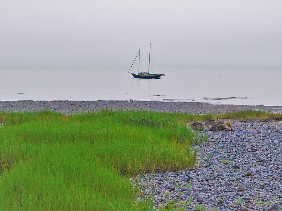-Maine shoreline Photograph by THERESA Nye