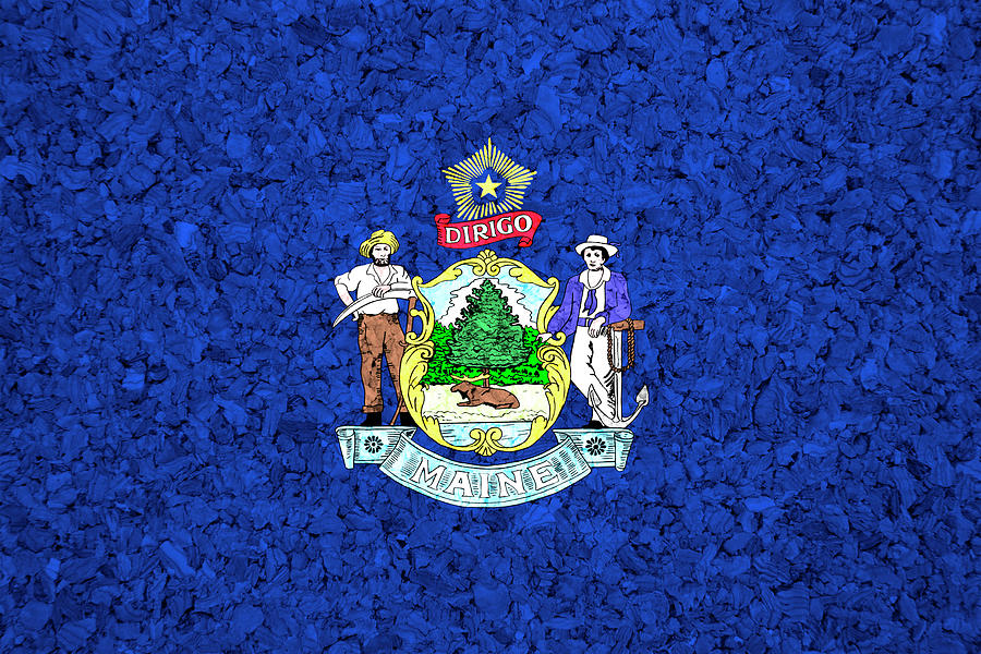 Maine State Flag On Cork Photograph