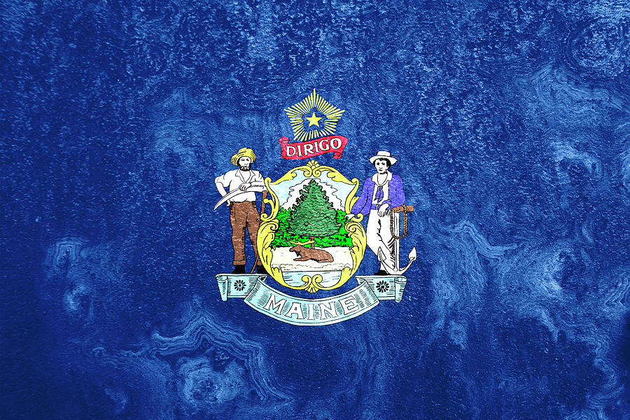 Maine State Flag Pop Art Photograph