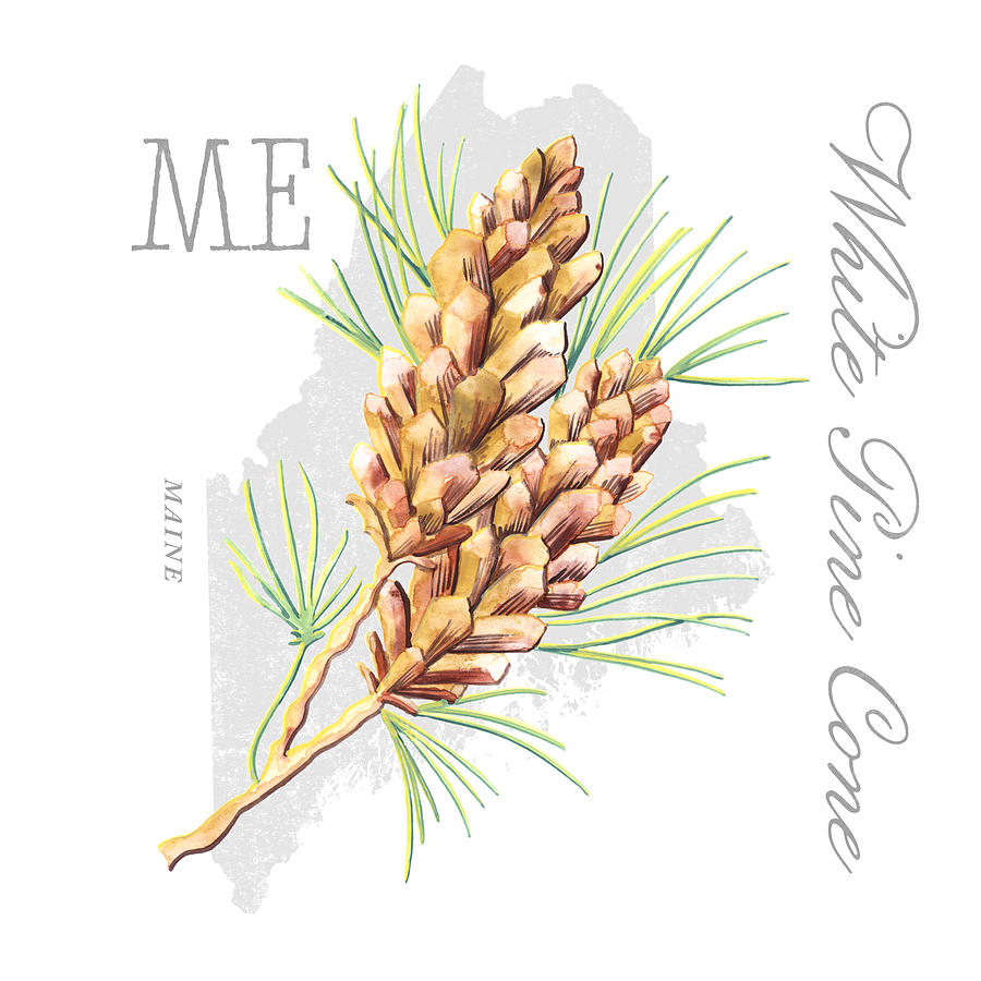 Maine State Flower White Pine Cone and Tassle Art by Jen Montgomery Painting by Jen Montgomery