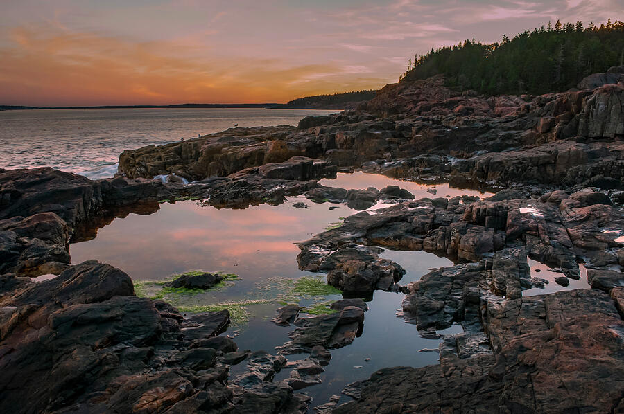 Maine Sunrise Photograph by Bob Grabowski