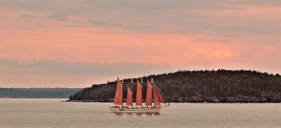 - Maine Sunset cruise. Photograph by THERESA Nye