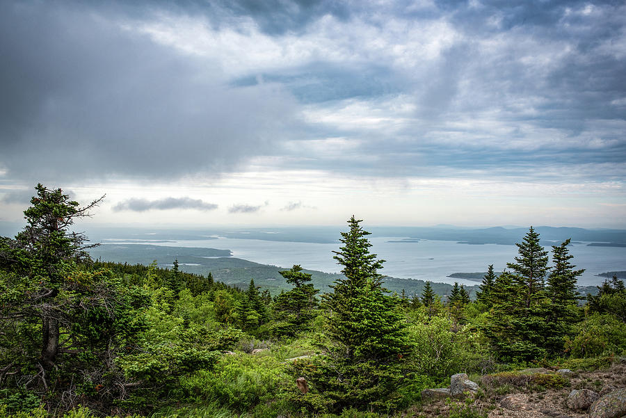 Maine-View From Cadillac Mountain Photograph by Judy Wolinsky
