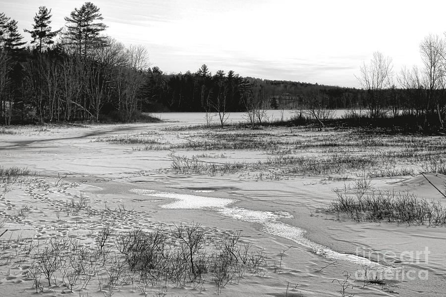 Maine Winter Landscape Photograph by Olivier Le Queinec
