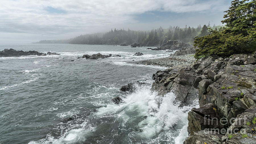 Maines Bold Coast - Cutler Photograph by Craig Shaknis