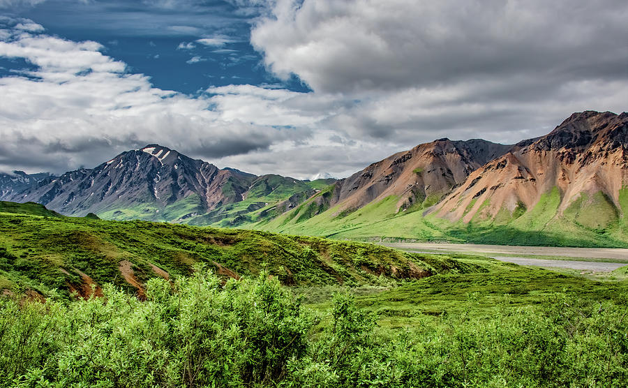 Majestic Alaska Photograph by Marcy Wielfaert