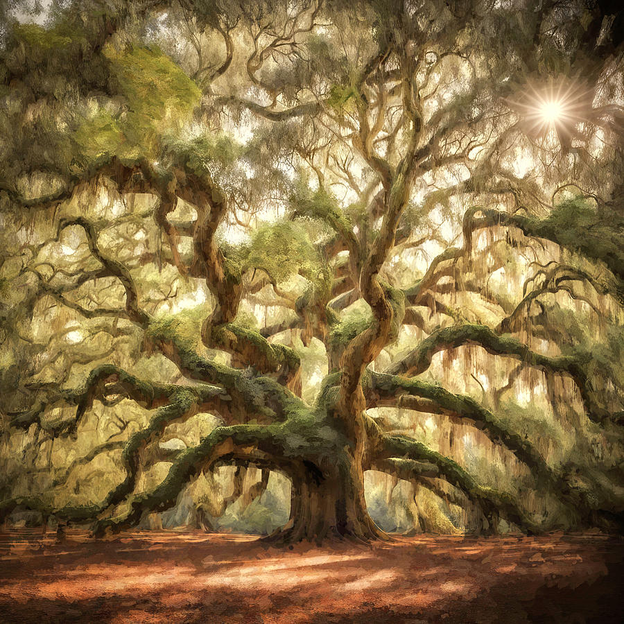 Majestic Angel Oak Digital Art by Donna Kennedy