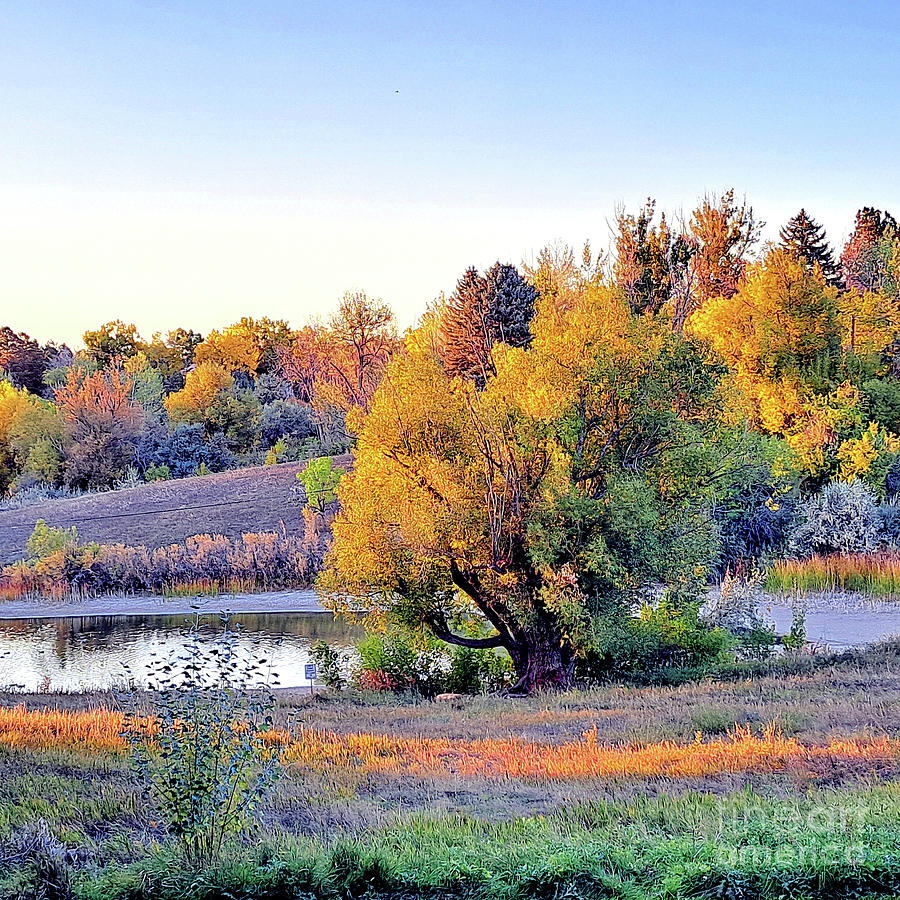 Majestic Autumn Colorado Photograph by Mars Besso Majestic Autumn Colorado Photograph by Mars Besso