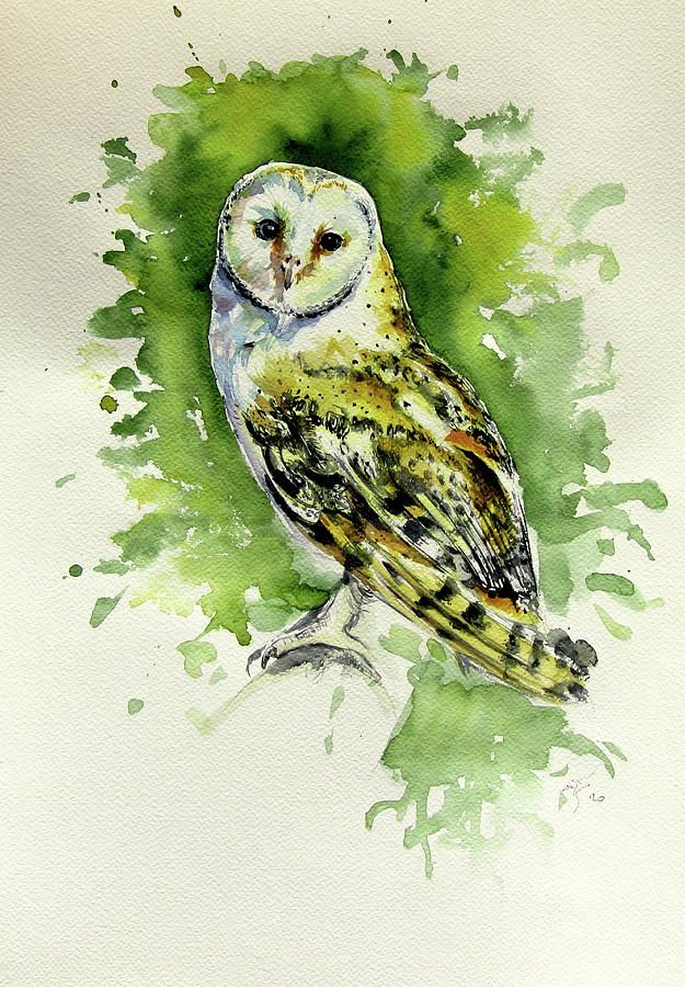 Majestic barn owl Painting by Kovacs Anna Brigitta