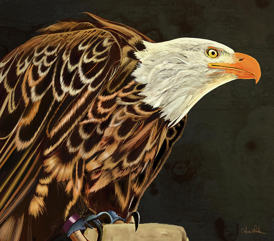 Eagle Digital Art - Majestic Eagle by Debra Whelan