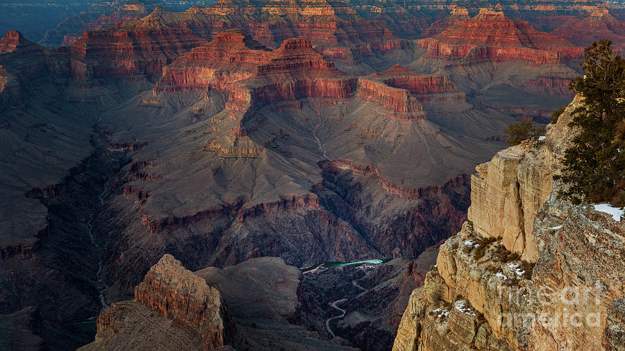 Majestic Grand Canyon Photograph by Doug Sturgess