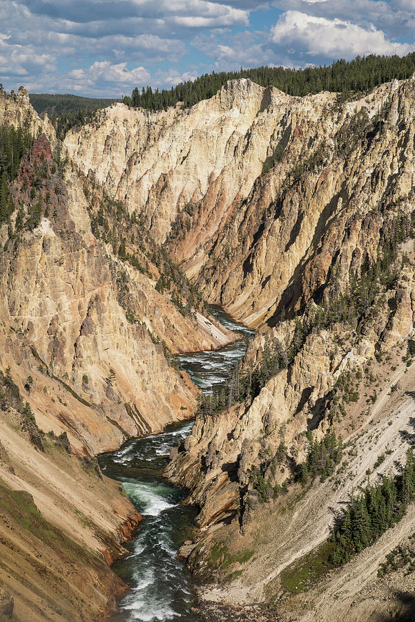 Majestic Grand Canyon of Yellowstone Photograph by Greg Nyquist