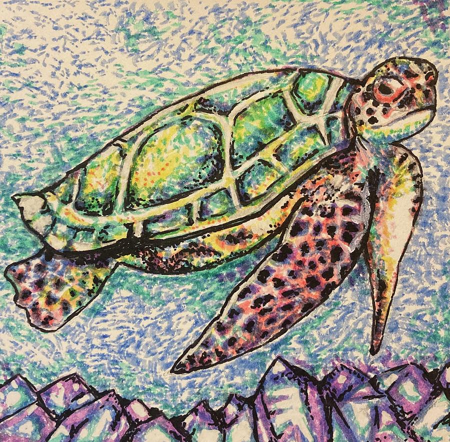 Majestic Hawkbill Turtle Drawing by Tierney Kostiuk - Fine Art America