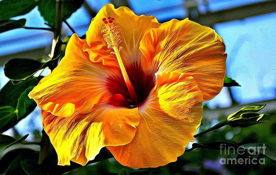 Majestic Hibiscus Photograph by Sea Change Vibes