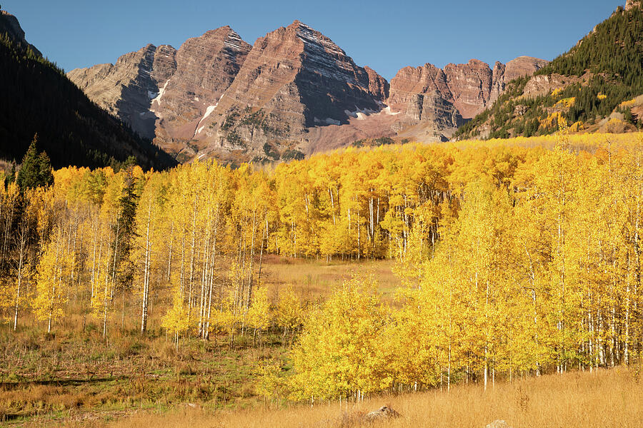 Majestic Maroon Bells Peaks And Golden Autumn Foliage Photograph by Gregory Ballos Majestic Maroon Bells Peaks And Golden Autumn Foliage Photograph by Gregory Ballos