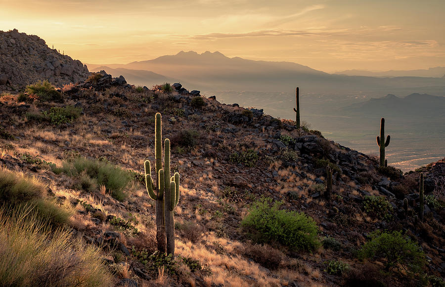 Majestic McDowell Mountain Slopes and Four Peaks Photograph by Eric 