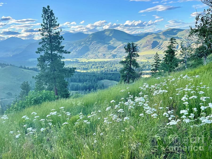 Majestic Methow Valley With Wildflowers Photograph